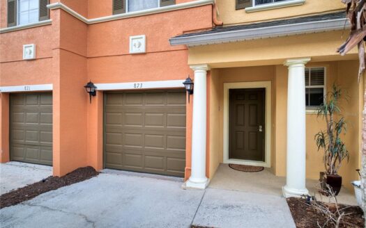 873 ASSEMBLY COURT,REUNION,Osceola,Residential