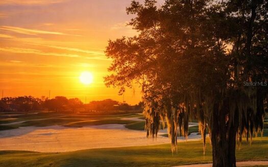 1536 COROLLA COURT,REUNION,Osceola,Residential